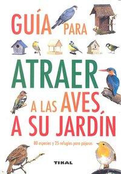 Cómo atraer a las aves de su jardín