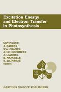 Excitation Energy and Electron Transfer in Photosy