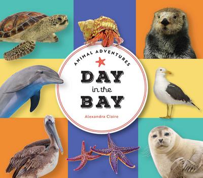 Animal Adventures: Day in the Bay