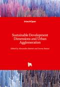 Sustainable Development Dimensions and Urban Agglomeration