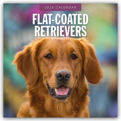 Flat-Coated Retrievers - Flat Coated Retriever 2026 - 16-Monatskalender