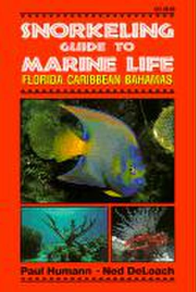 Snorkeling Guide to Marine Life Florida, Caribbean, Bahamas
