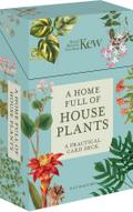 A Home Full of House Plants