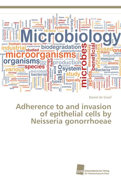 Adherence to and invasion of epithelial cells by Neisseria gonorrhoeae