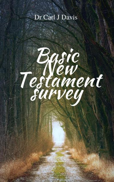 Basic New Testament Survey