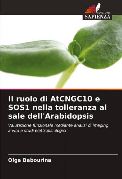 Il ruolo di AtCNGC10 e SOS1 nella tolleranza al sale dell’Arabidopsis
