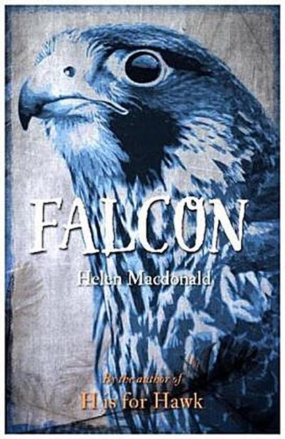 Falcon