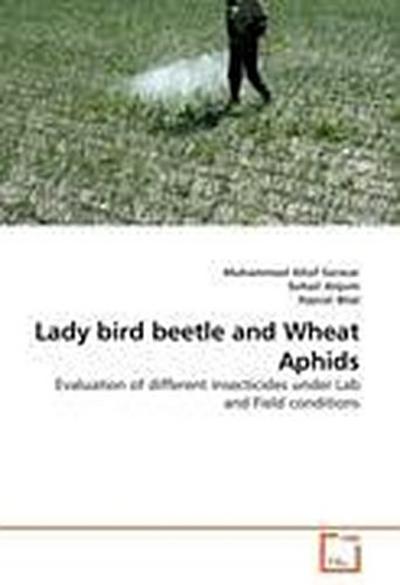 Lady bird beetle and Wheat Aphids