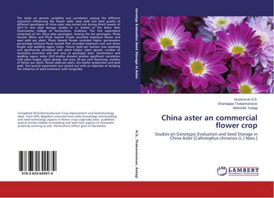 China aster an commercial flower crop