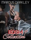 BDSM Collection 9