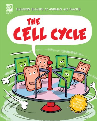 Cell Cycle