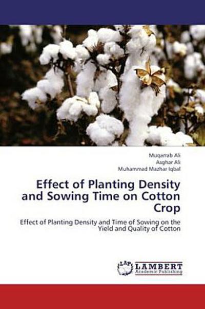 Effect of Planting Density and Sowing Time on Cotton Crop