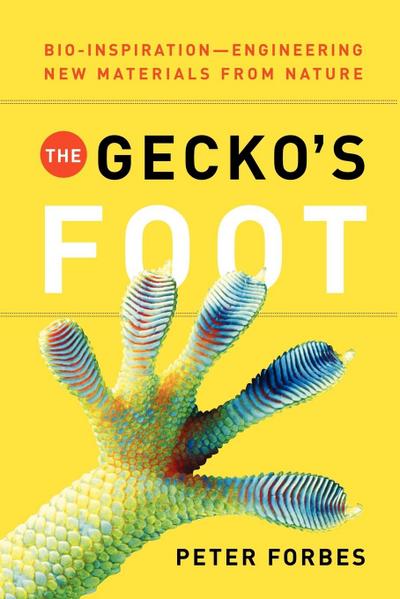 The Gecko’s Foot