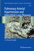 Pulmonary Arterial Hypertension and Interstitial Lung Diseases