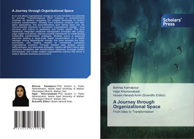 A Journey through Organizational Space