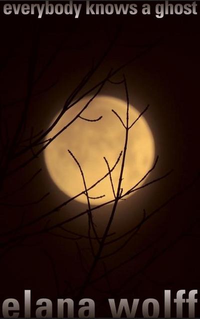 Everybody Knows a Ghost