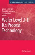 Wafer Level 3-D ICs Process Technology