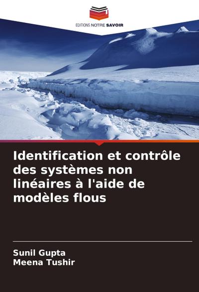 Identification et contrôle des systèmes non linéaires à l’aide de modèles flous
