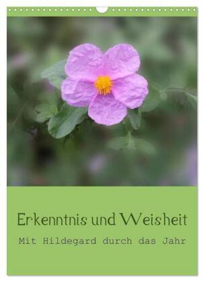Erkenntnis und Weisheit - Hildegard von Bingen (Wandkalender 2026 DIN A3 hoch), CALVENDO Monatskalender