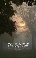 The Soft Fall