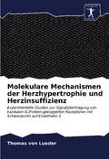 Molekulare Mechanismen der Herzhypertrophie und He