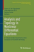 Analysis and Topology in Nonlinear Differential Equations