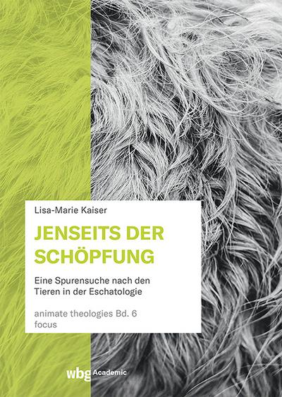 Jenseits der Schöpfung