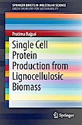 Single Cell Protein Production from Lignocellulosic Biomass