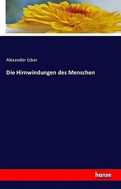 Die Hirnwindungen des Menschen