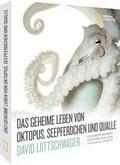 Das geheime Leben von Oktopus, Seepferdchen und Qualle von David Liittschwager | Buch