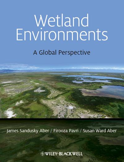 Wetland Environments