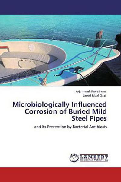 Microbiologically Influenced Corrosion of Buried Mild Steel Pipes