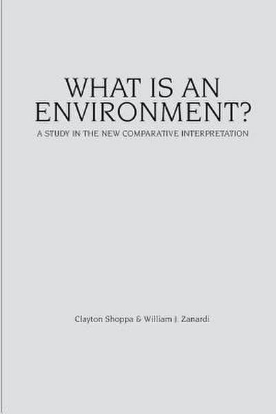 What Is an Environment?: A Study in the New Comparative Interpretation