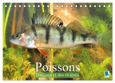 Poissons : d’étangs et des rivières (Calendrier de bureau 2027 DIN A5 vertical), CALVENDO calendrier mensuel