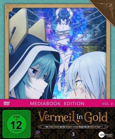 Vermeil in Gold. Vol.3, DVD
