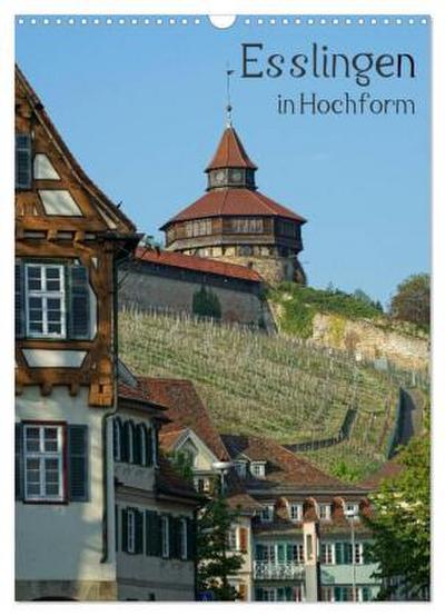 Esslingen in Hochform (Wandkalender 2026 DIN A3 hoch), CALVENDO Monatskalender