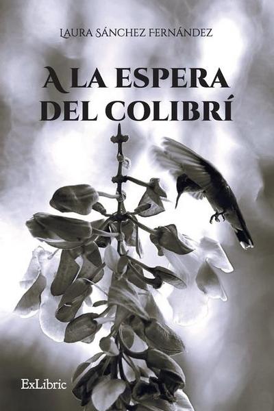 A la espera del colibrí