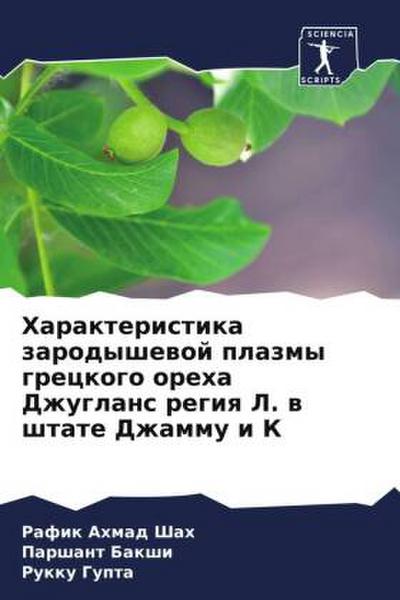 Harakteristika zarodyshewoj plazmy greckogo oreha Dzhuglans regiq L. w shtate Dzhammu i K