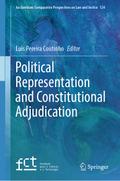 Political Representation and Constitutional Adjudication