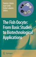 The Fish Oocyte