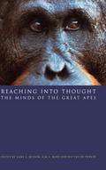 Reaching into Thought