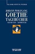 Johann Wolfgang Goethe: Tagebücher IX.2