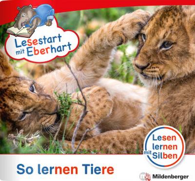 Lesestart mit Eberhart - Sonderheft: So lernen Tiere