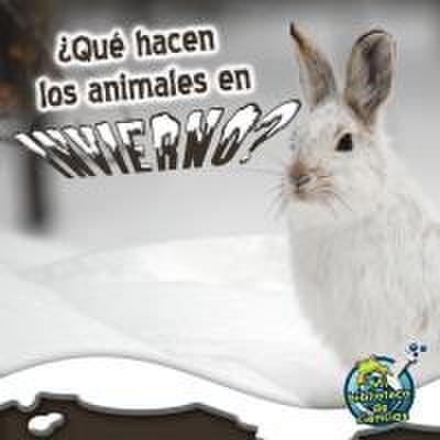Qué Hacen Los Animales En Invierno?