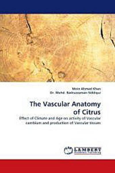 The Vascular Anatomy of Citrus