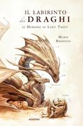 Il labirinto dei draghi