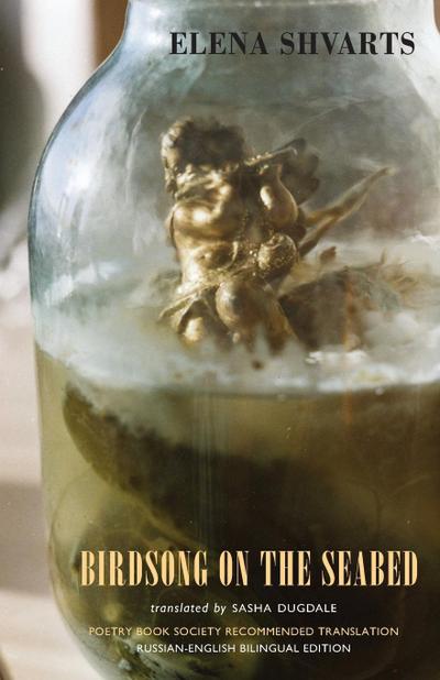 Birdsong on the Seabed