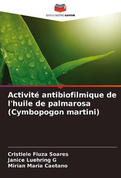 Activité antibiofilmique de l’huile de palmarosa (Cymbopogon martini)