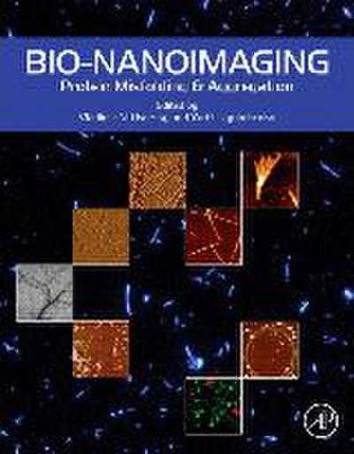 Bio-Nanoimaging