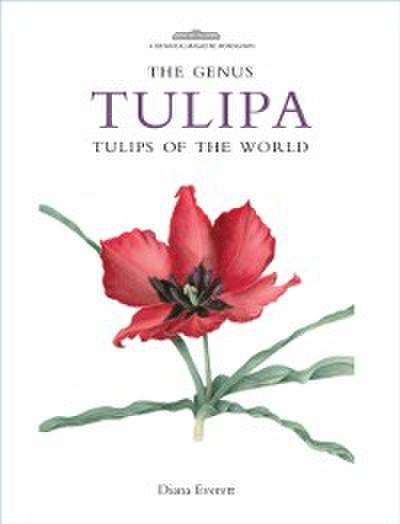 Genus Tulipa
